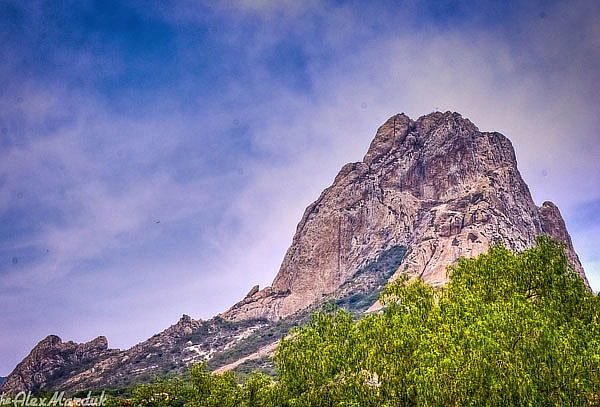 Ruta del vino y queso + Pueblo mágico Bernal