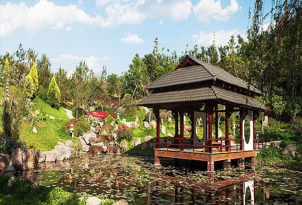 Jardines de México y Tepoztlán 