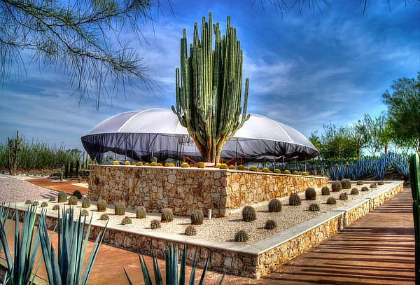 Jardines de México y Tepoztlán 