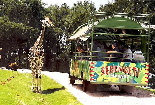 Acceso a Bioparque el Safari más Grande de México