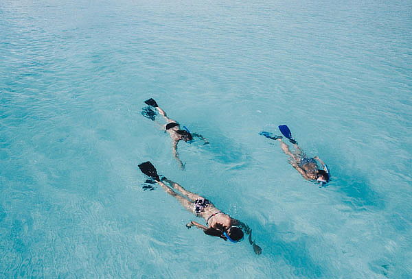 Tour Avistamiento de Ballenas en Cabos San Lucas