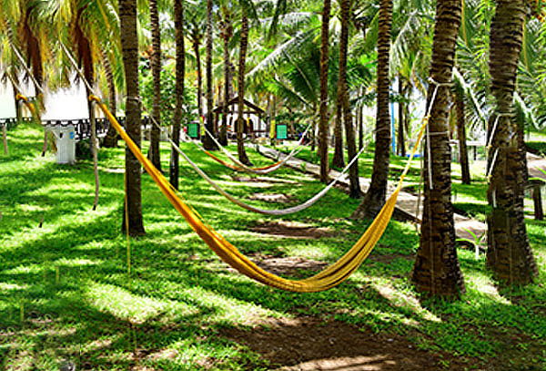 Acceso a Royal Garrafón VIP en Isla Mujeres.