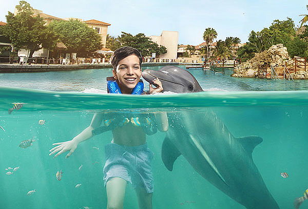 Dolphin Encounter en Rivera Maya o Playa del Carmen