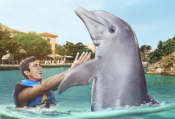 Dolphin Encounter en Rivera Maya o Playa del Carmen