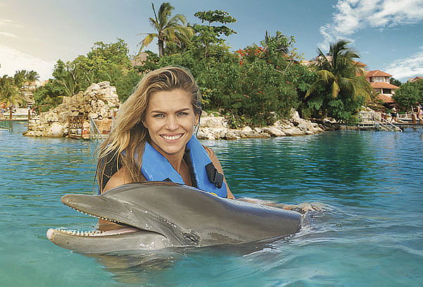 Dolphin Encounter en Rivera Maya o Playa del Carmen