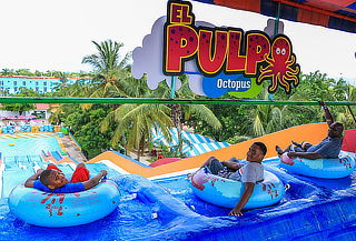 Encuentro con Delfines en Puerto Vallarta + Parque Acuatico