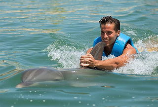 Nado con delfines Ride en tu lugar favorito