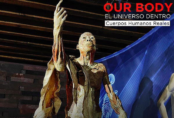 Our Body: El Universo dentro ¡cuerpos reales!