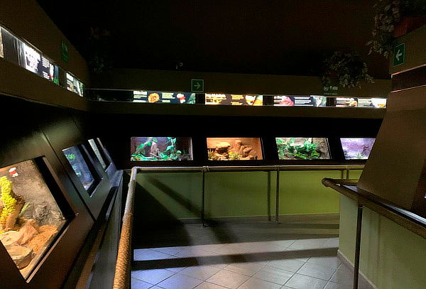 Acceso a ZooAventuras Aragón ¡Tren+ Herpetario + Dinoexcava!