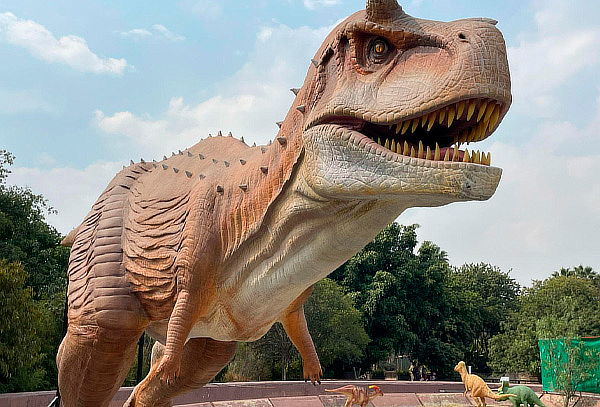 Acceso a ZooAventuras Aragón ¡Tren+ Herpetario + Dinoexcava!