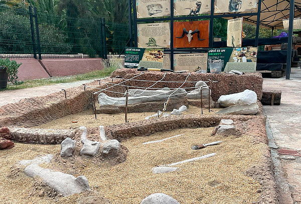 Acceso a ZooAventuras Aragón ¡Tren+ Herpetario + Dinoexcava!