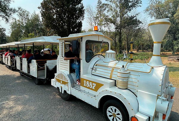 Acceso a ZooAventuras Aragón ¡Tren+ Herpetario + Dinoexcava!
