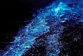 Lagunas Bioluminiscentes 3D/2N Huatulco + Pto. Escondido 