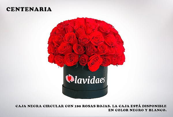 Sorprende con Flores y Rosas de Lavidaes