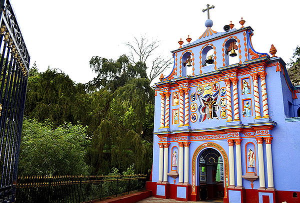 Santuario de la Luciérnaga ¡Luces en el Bosque!