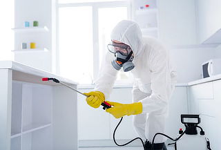 Fumigación + Nebulización de Casa o Departamento 