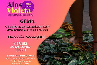 Acceso a Gema o el brote de las anécdotas y sensaciones