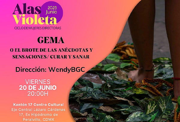 Acceso a Gema o el brote de las anécdotas y sensaciones