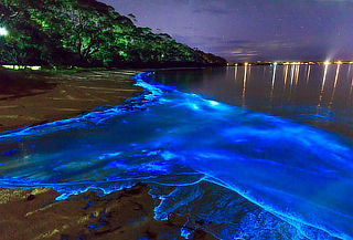 Lagunas Bioluminiscentes 3D/2N Huatulco + Pto. Escondido 