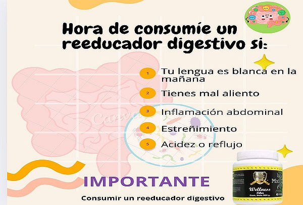 Reeducador digestivo FMM Wellness