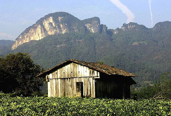 Tlatlauquitepec 2D/1N + Cuetzalan, Poza pata de perro y más