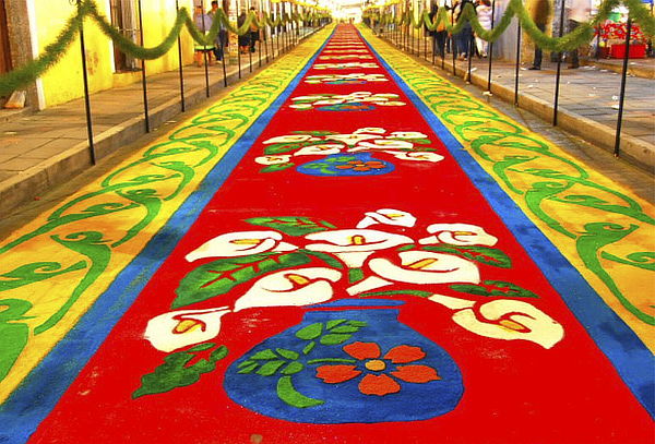 ¡La Noche que nadie duerme, Tour 1Día ¡Tapetes y flores!