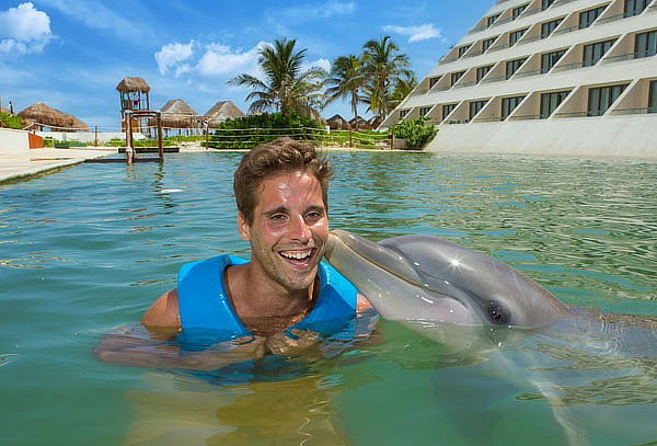 DELPHINUS: Nada con Delfines, actividades Harmony o Interax