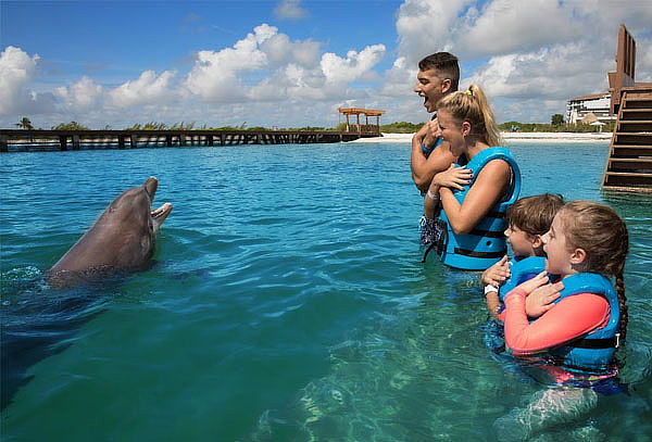 DELPHINUS: Nada con Delfines, actividades Harmony o Interax