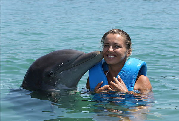 XEL-HÁ: Delfines + Alimentos, ¡MEJOR PRECIO en DELPHINUS!