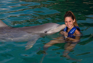 XEL-HÁ: Delfines + Alimentos, ¡MEJOR PRECIO en DELPHINUS!