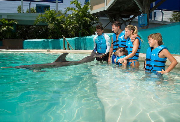 Acuario Interactivo de Cancún + nado con delfines, Asombrate