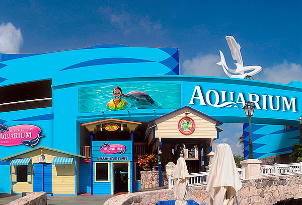 Acuario Interactivo de Cancún + nado con delfines, Asombrate