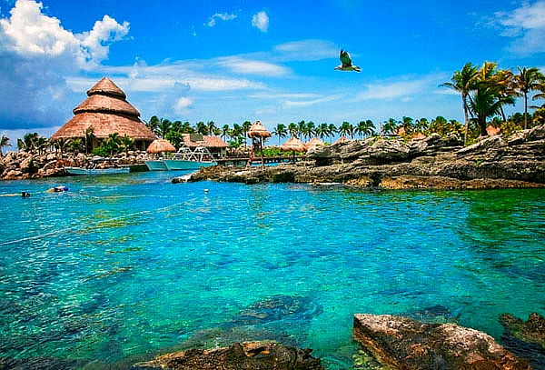 XCARET + Nado con Delfines niño o adulto, ¡Mejor precio!
