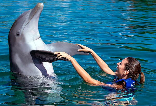 XCARET + Nado con Delfines niño o adulto, ¡Mejor precio!
