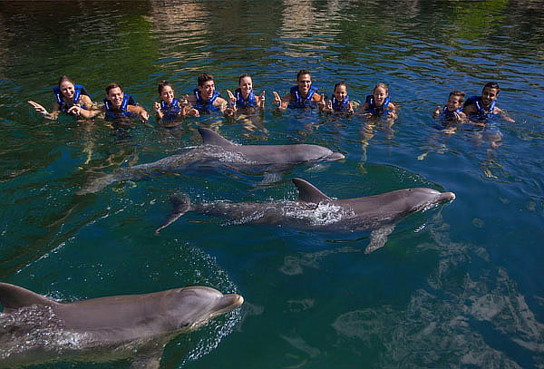 DELPHINUS: Nada con Delfines, actividades Harmony o Interax