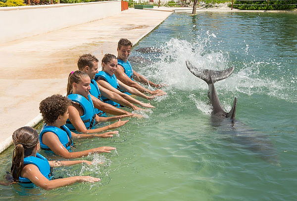DELPHINUS: Nada con Delfines, actividades Harmony o Interax