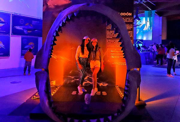 Combo Plus: 4 atracciones en Zoo Aventuras Chapultepec