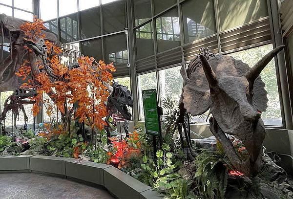 Combo Plus: 4 atracciones en Zoo Aventuras Chapultepec