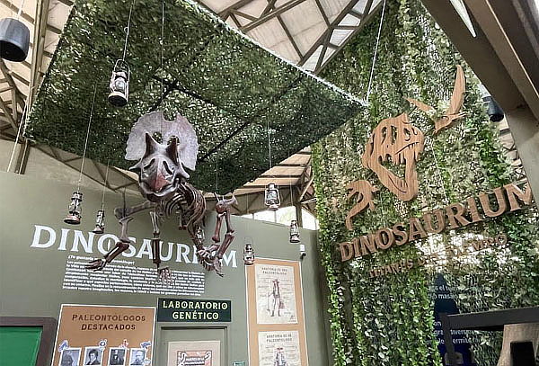 Combo Plus: 4 atracciones en Zoo Aventuras Chapultepec