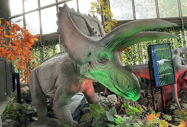 Combo Plus: 4 atracciones en Zoo Aventuras Chapultepec