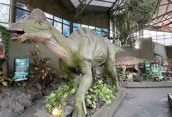 Combo Plus: 4 atracciones en Zoo Aventuras Chapultepec