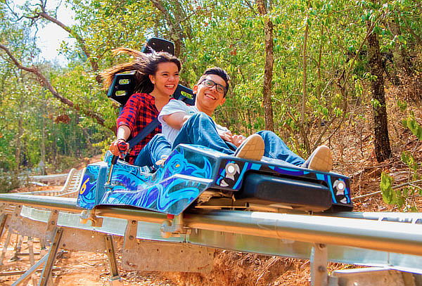 Acceso a Bioparque el Safari más Grande de México