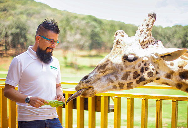 Acceso a Bioparque el Safari más Grande de México