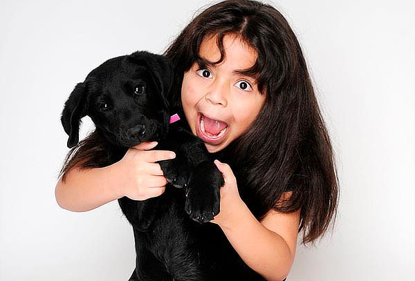 Sesión Fotográfica para tu Mascota