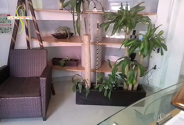 Tratamiento capilar anticaída + Masaje craneal