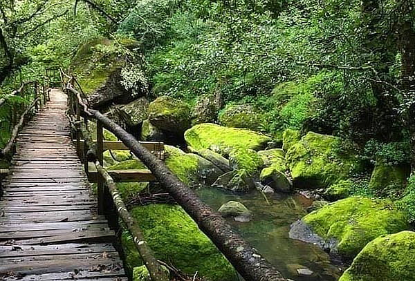 Cascadas y Bosques Paraíso + Vinos artesanales + Transporte