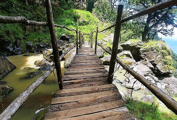 Cascadas y Bosques Paraíso + Vinos artesanales + Transporte