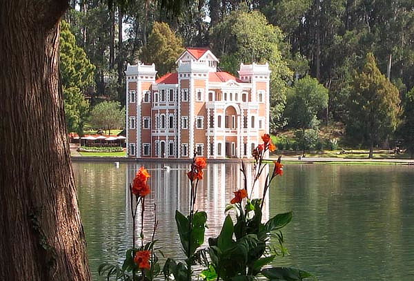 Valquirico + Chautla y Bosque de Lavanda