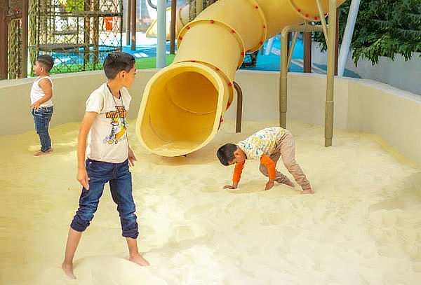 Acceso General a Acuario Michin ¡Maravillas del mar en CDMX!