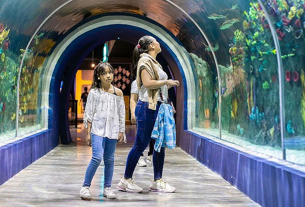 Acceso General a Acuario Michin ¡Maravillas del mar en CDMX!